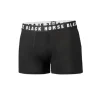 BAMBUVISKOOSI BOXERIT